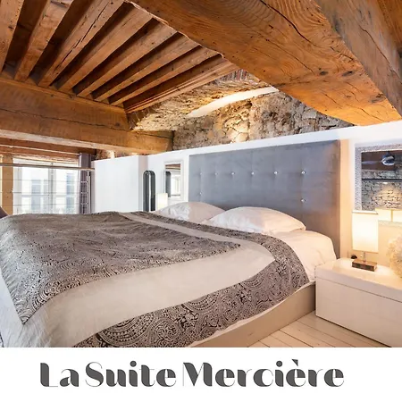 Apartamento Le Carre Merciere , De Luxe Au Coeur De Lyon, Loft Et Lyon