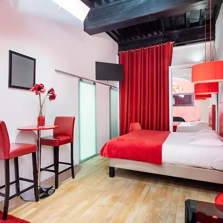 Le Carre Merciere , De Luxe Au Coeur De Lyon, Loft Et *