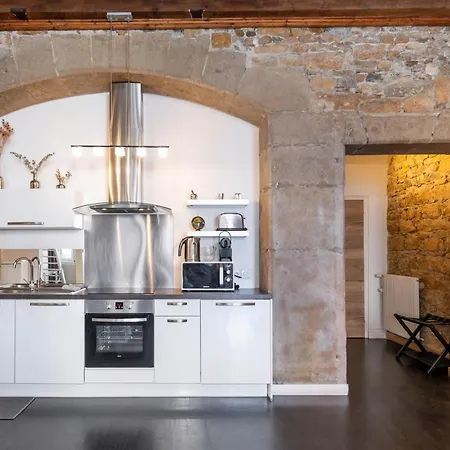 Le Carre Merciere , De Luxe Au Coeur De Lyon, Loft *