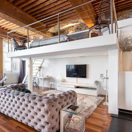 Le Carre Merciere , De Luxe Au Coeur De Lyon, Loft * Lyon