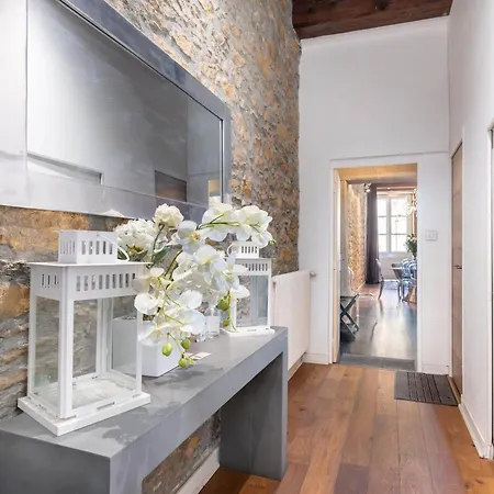 Le Carre Merciere , De Luxe Au Coeur De Lyon, Loft Et * Lyon