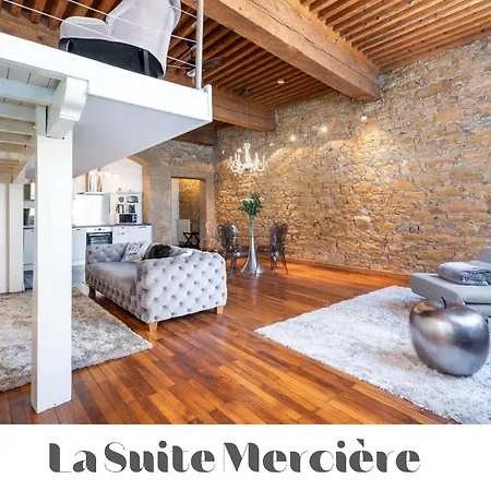 Le Carre Merciere , De Luxe Au Coeur De Lyon, Loft Et Apartment Lyon