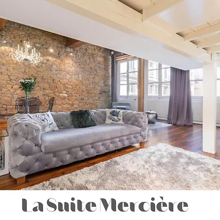 Le Carre Merciere , De Luxe Au Coeur De Lyon, Loft Et Apartment