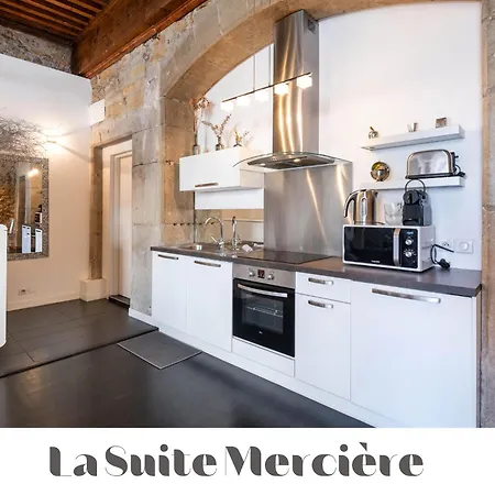 Apartment Le Carre Merciere , De Luxe Au Coeur De Lyon, Loft Et *