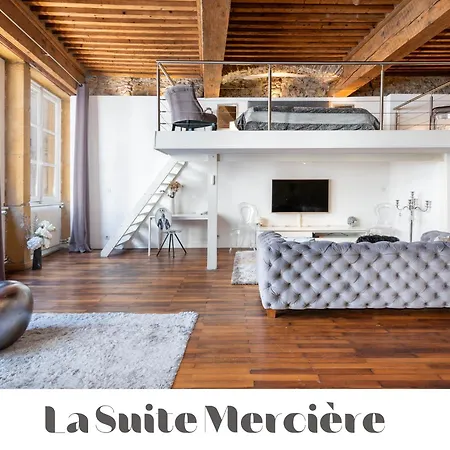 Le Carre Merciere , De Luxe Au Coeur De Lyon, Loft Et Apartment Lyon