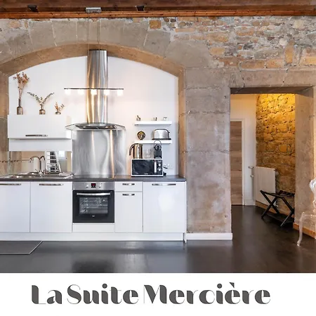 Apartment Le Carre Merciere , De Luxe Au Coeur De Lyon, Loft Et Lyon