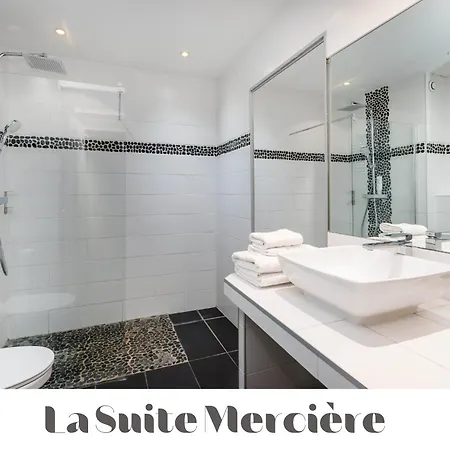 Le Carre Merciere , De Luxe Au Coeur De Lyon, Loft Et Apartment