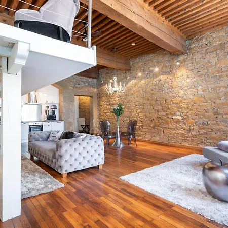 Le Carre Merciere , De Luxe Au Coeur De Lyon, Loft Et