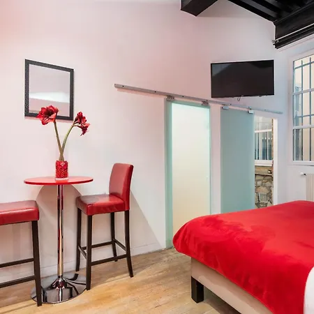 Apartment Le Carre Merciere , De Luxe Au Coeur De Lyon, Loft Et *