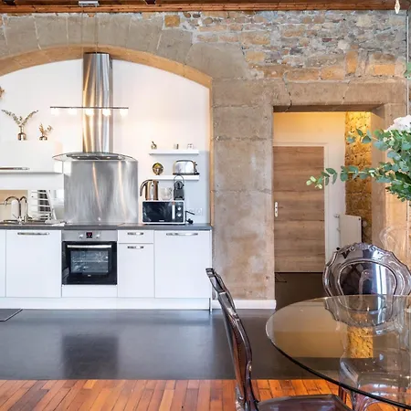 Le Carre Merciere , De Luxe Au Coeur De Lyon, Loft Et Apartment Lyon