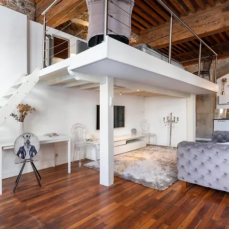 Apartment Le Carre Merciere , De Luxe Au Coeur De Lyon, Loft Et Lyon