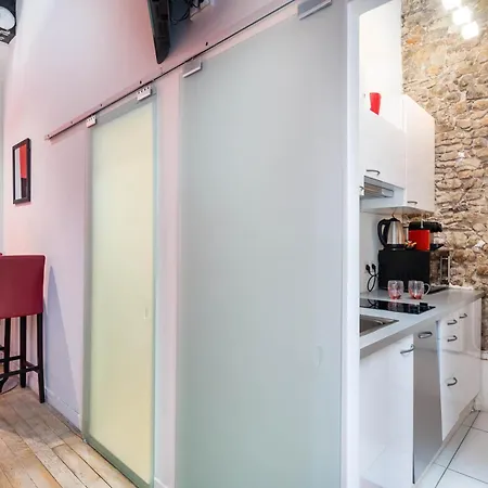 Le Carre Merciere , De Luxe Au Coeur De Lyon, Loft Et * Lyon
