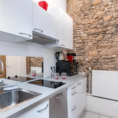 Le Carre Merciere , De Luxe Au Coeur De Lyon, Loft Et Apartment