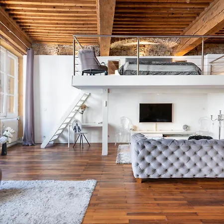 Le Carre Merciere , De Luxe Au Coeur De Lyon, Loft Et Apartment Lyon