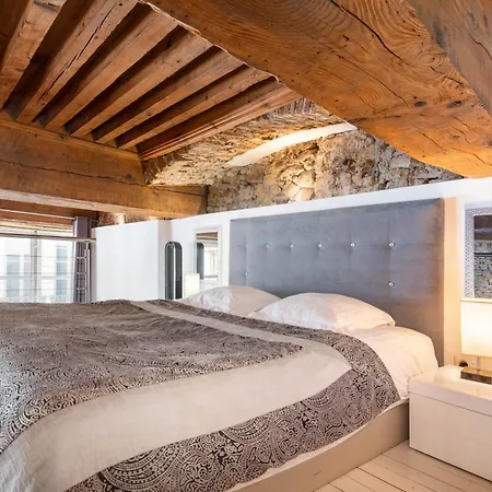 Apartment Le Carre Merciere , De Luxe Au Coeur De Lyon, Loft Et Lyon