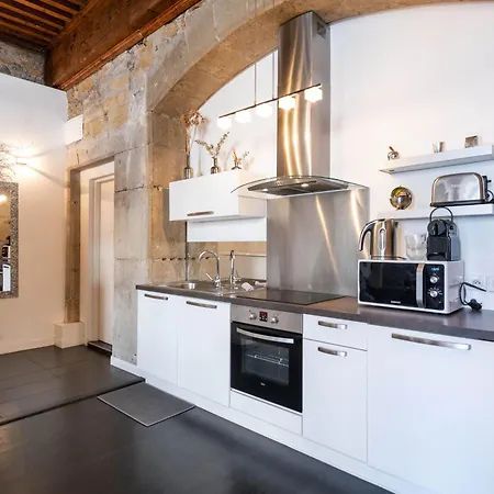 Le Carre Merciere , De Luxe Au Coeur De Lyon, Loft Et Apartment