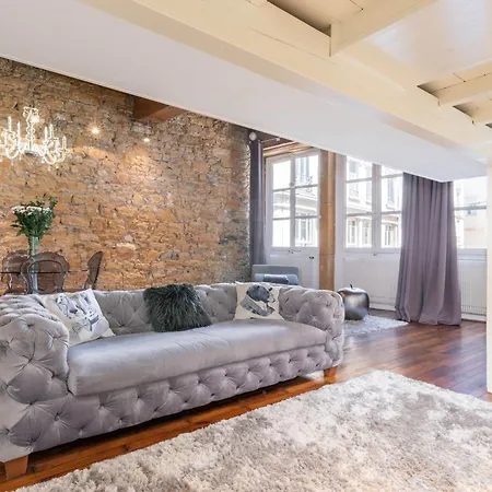 Apartment Le Carre Merciere , De Luxe Au Coeur De Lyon, Loft Et